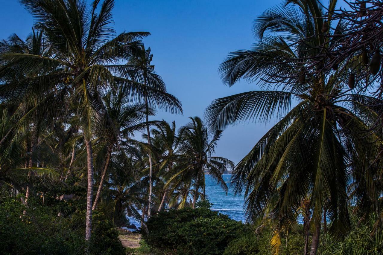 הוילה Msambweni Beach House מראה חיצוני תמונה
